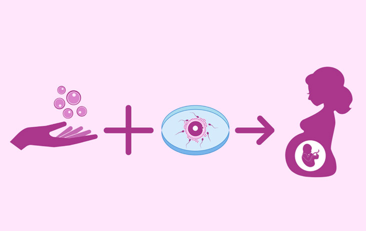 egg-donor-about1.jpg